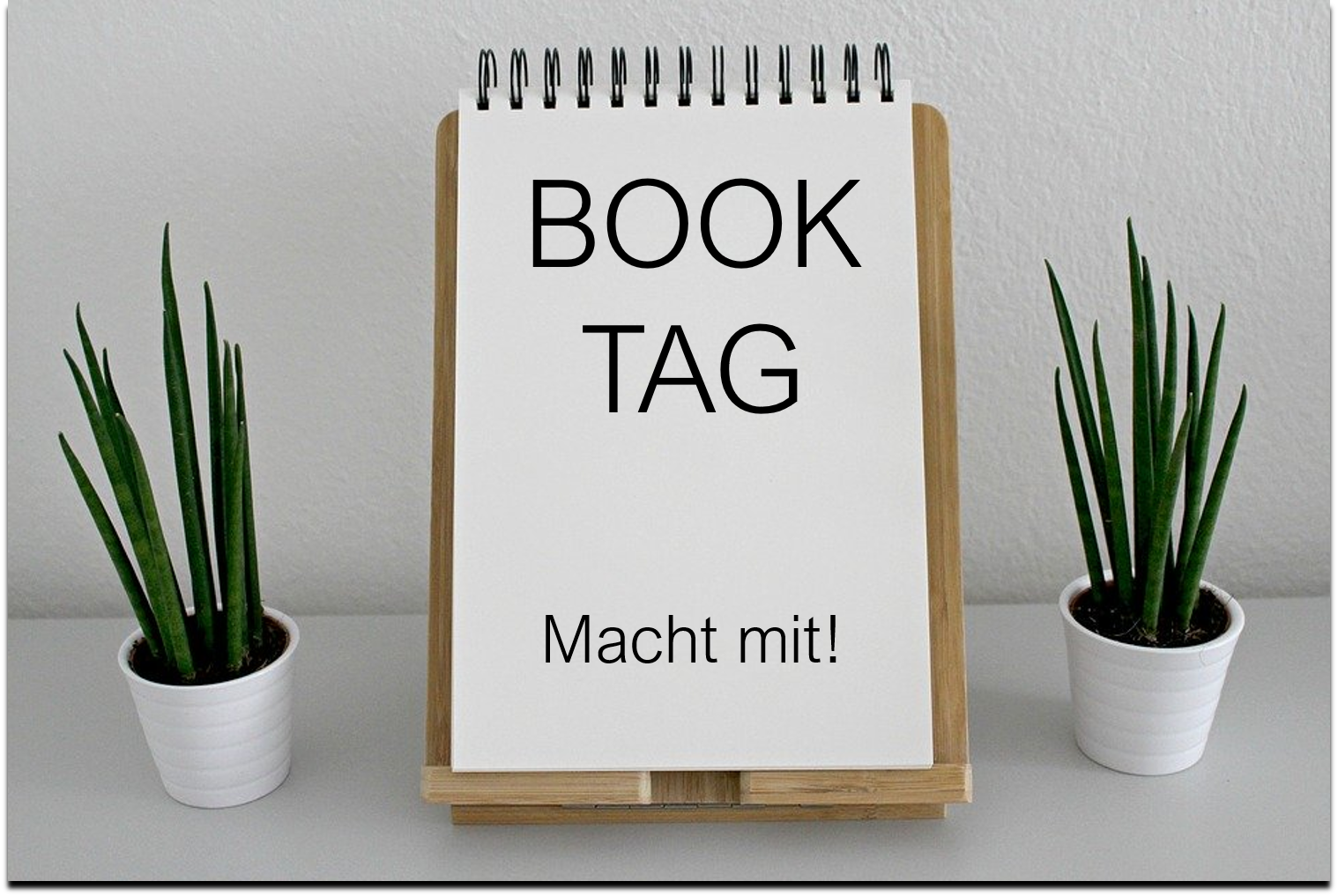 Das hat dieses Buch absolut nicht gebraucht